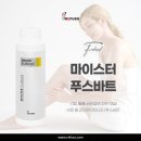 레푸스 정자점 이미지