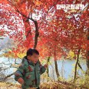 입곡군립공원(주차장옆) | 경남 함안 입곡군립공원 단풍 명소 지금 절정 주차장 아이랑 놀이터