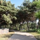 안중레포츠 공원 체육시설 축구장 이미지