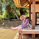 ㈜동선관광 이미지