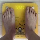 워너비엠 | 정상체중 마운자로 5mg 유지 80일차 -12.97kg 테이퍼링 후기