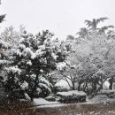 뚝섬한강공원-11 이미지