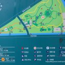 양재느티나무쉼터 | 서울 볼거리 양재시민의숲 벚꽃 둘레길 매헌시민의숲공원 추천