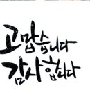 한사랑유아체육태권도 이미지