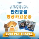 코비트래블 - 중구 남대문로10길 9 | 코비트래블