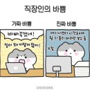 진도인쇄소 이미지