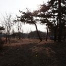 몽마르뜨공원 네이버블로그