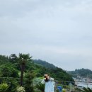 올리비아스테이 이미지