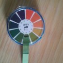 완도초등학교 앞 이미지