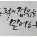 캘리그라피 이미지