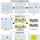 주식회사 토루 이미지