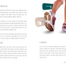 서리풀길 20 이미지