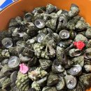 마시세식당 이미지