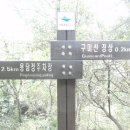 경주인삼