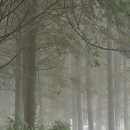 GROOMING107 이미지