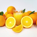 오렌지 이미지