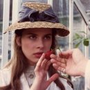 테스 (Tess) 이미지