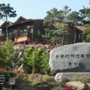 용봉산자연휴양림 이미지