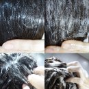 차앤박헤어 이미지