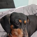 우람동물병원 이미지