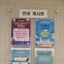 아쿠아펠리스 수영장 | 수영 - 청주 개신동 아쿠아 펠리스 프리미엄 수영장