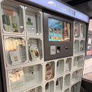 충청남도홍성교육지원청홍성도서관 | 홍성도서관 책 예약 반납 이용 방법 혼모노 성해나 후기