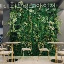 스테디 휘트니스(안일점) 이미지