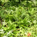 설천초등학교 이미지