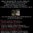 따쉑이의 대만전직女야수소환사 공략입니다~ [새로 만들었습니다] 이미지