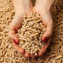 단양군산림조합 | 펠렛연료(펠릿연료 추천) 최저가 알아보기