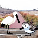 십이리체육공원 이미지