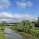 백향민의 수요음감회 이미지