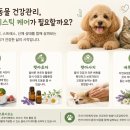 네추럴레매디