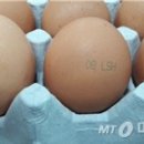 시온축산 이미지