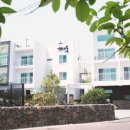 나무와돌펜션 이미지