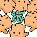 청학 승마클럽 이미지