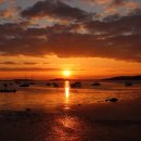 주민행정사사무소 이미지