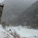 통나무집B민박 이미지