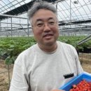 김필제농장 이미지