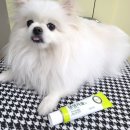 헬로 마이펫 이미지