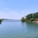 출렁다리 카페 이미지