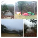 용문산 야영장 - 호젓한 숲속에서 즐기는 전세캠핑!! 이미지