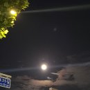 복서(BOXER) 삼성센터 | #88~91. 뮤지컬은 독서를 하게 하지!