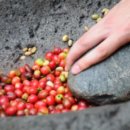 NR-7[북부순환도로]-상-53 | 울산 무거동 밥집 추천 순위