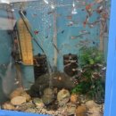 1번지해물찜 이미지