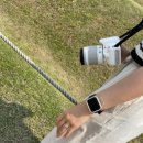 의성이용소 이미지