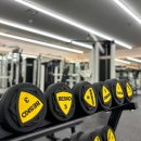 짐에이치핏 이미지