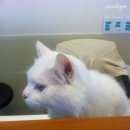 도담도담동물병원 이미지