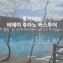 EG투어버스 C코스 | [일본/삿포로]비에이,후라노 버스투어 후기::할인코드,준페이,코이카와 예약
