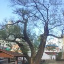 사하구-04 이미지